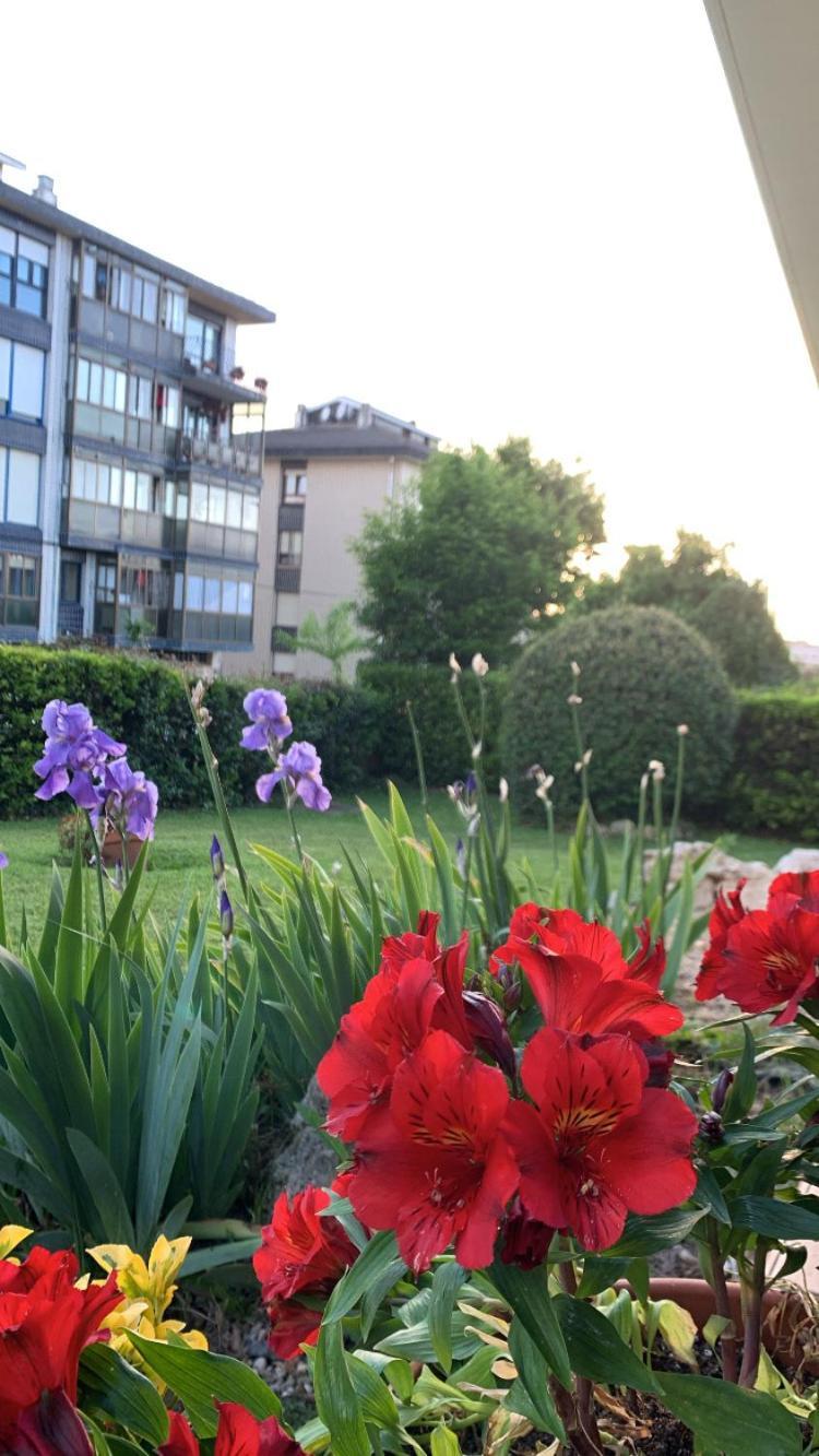 Aloka Rooms Sopela Экстерьер фото